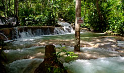 dunns River falls Images