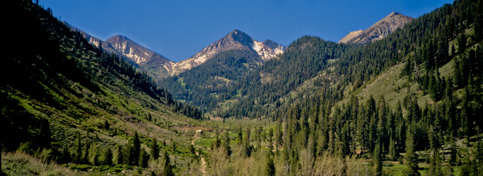 Hiking in Mineral King